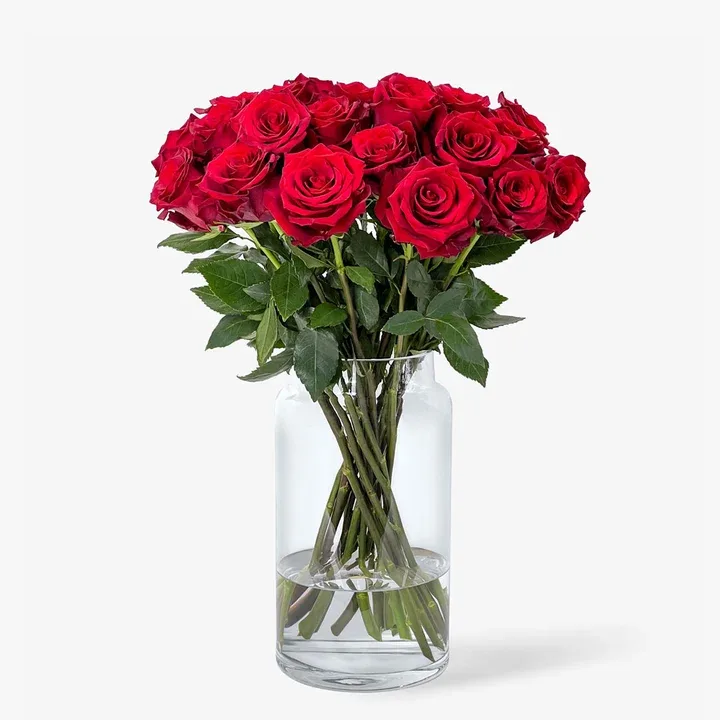 Rosas Rojas